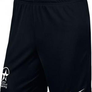 Nike PFT Training Shorts